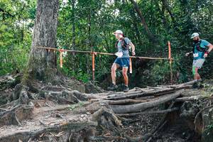 BIB: 
                            <button type="button" onclick="openModal(27808031)" class="btn btn-primary btn-sm float-right btn-popup" data-toggle="modal" data-target=".modal-high-quality">
                        <i class="fas fa-shopping-cart"></i> Add to Cart
                    </button>
                                            <button type="button" onclick="isThisMe(27808031, true)" class="btn btn-success btn-sm float-right btn-popup btn-isme hidden" data-toggle="tooltip" data-placement="bottom" title="นี่คือรูปของคุณใช่ไหม คลิกที่นี่เพื่อเอาเข้าอัลบั้ม">
                        <i class="fas fa-plus"></i> Add to album
                    </button>
                    <button type="button" onclick="isThisMe(27808031, false)" class="btn btn-warning btn-sm float-right btn-popup btn-isnotme hidden">
                        <i class="fas fa-ban"></i> Remove from album
                    </button>